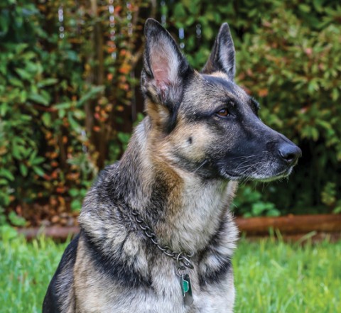 Join Us In Making a Difference in our Community, Donate Today!